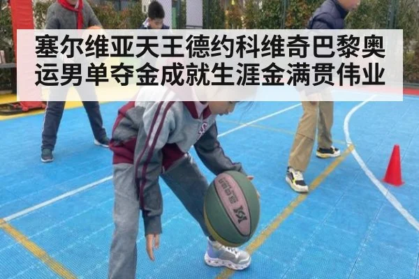塞尔维亚天王德约科维奇巴黎奥运男单夺金成就生涯金满贯伟业